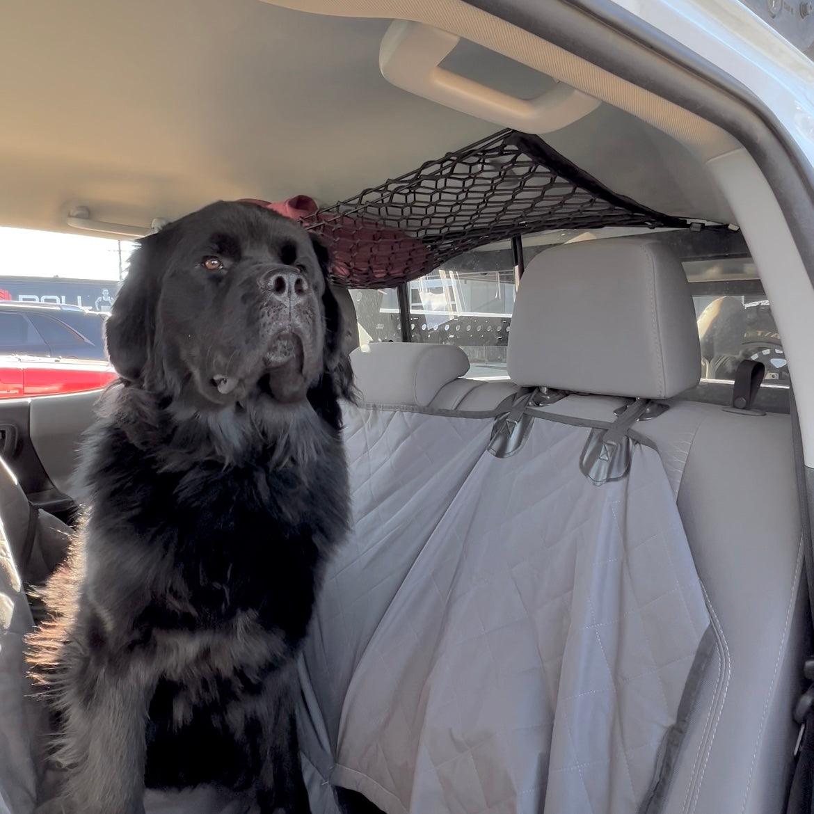 Toyota Tacoma Attic Storage Net